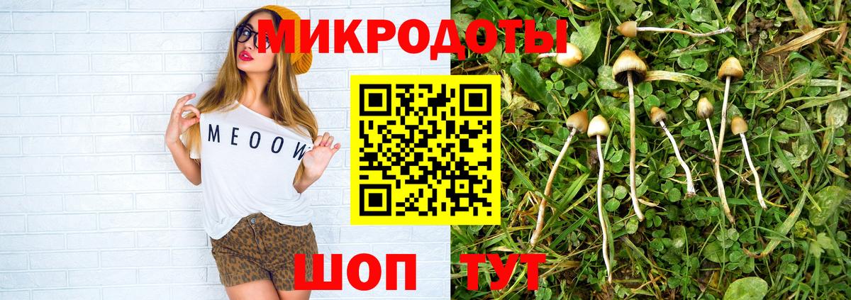 Псилоцибиновые грибы Cubensis Валуйки